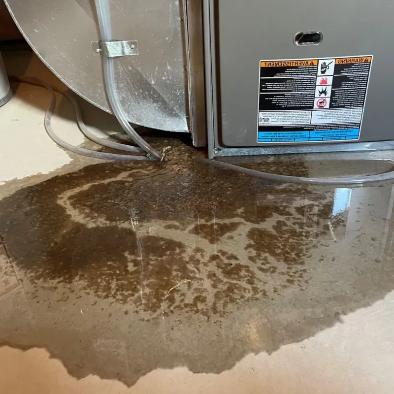 Pipe Burst and Leak Restoration in Huntington, WV