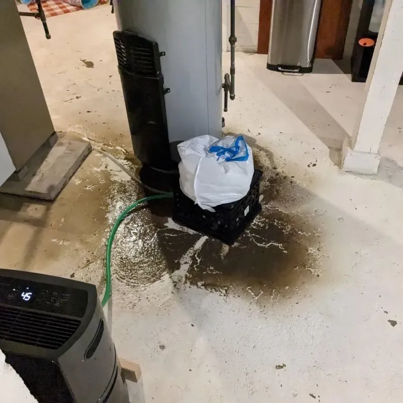 Sewage Backup Cleanup Service in Huntington, WV